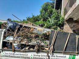 Shed Removal in Ephraim, UT